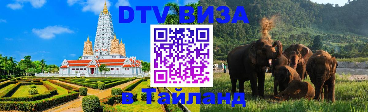 Долгосрочная виза DTV в Тайланд Бердск 